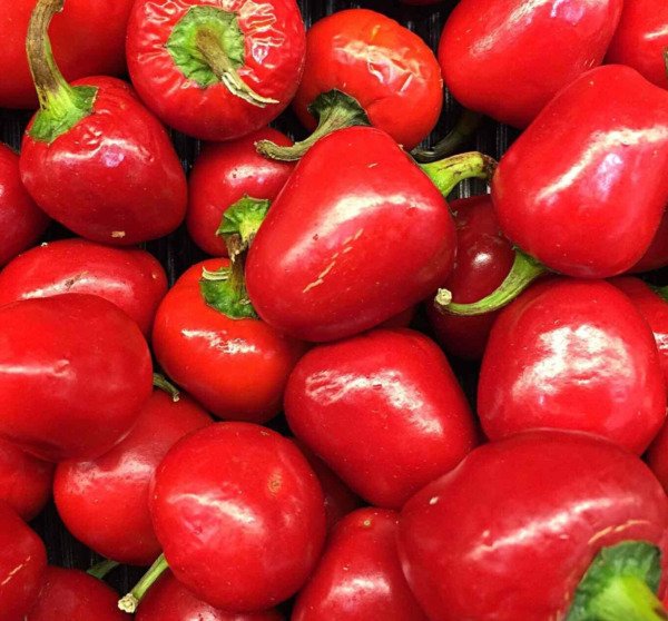 Pimento Pepper Seeds 30+ "Sweey" Vegetable Pickling Pepper Fresh Garden