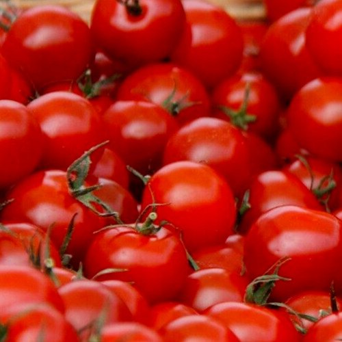 Small Red Cherry Tomato Seeds 100+ Vegetables Sauce Salad Fresh Garden