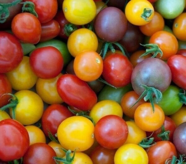 Rainbow Cherry Tomato Seeds Mix 50+ Vegetables Sauce Salad Fresh Garden