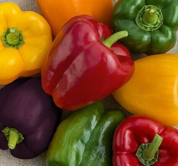 Rainbow Bell Pepper Seeds Mix 30+ Red Orange Purple Yellow White Fresh Garden