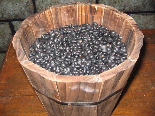 20 Organic Sweet Korean Black Soybean Glycine Max Edamame Bean Vegetable Seeds Fresh Garden