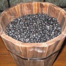 20 Organic Sweet Korean Black Soybean Glycine Max Edamame Bean Vegetable Seeds Fresh Garden