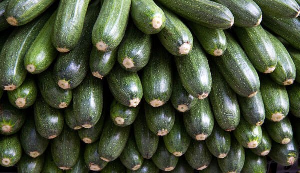 30 Gray Zucchini Heirloom Summer Bush Squash Cucurbita Pepo Vegetable Seeds Fresh Garden