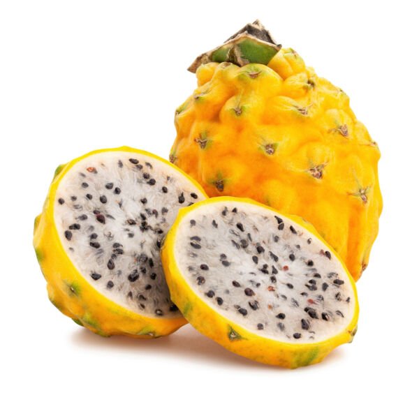 20 Yellow Dragon Fruit Pitaya Pitahaya Pear Hylocere Megalanth Cact Seeds Fresh Garden