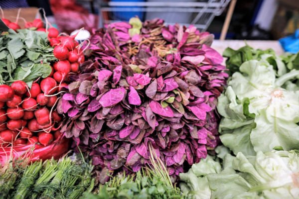 150 Triple Purple Orach Mountain Spinach Atriplex Hortensis Leaf Vegetable Seeds Fresh Garden