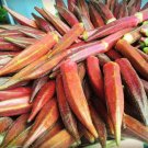 50 Jing Orange Okra Abelmosch Esculent Yellowflwr Red Orange Vegetable Seeds Fresh Garden