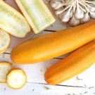 50 Golden Zucchini Heirloom Summer Bush Squash Cucurbita Pepo Yellow Veg Seeds Fresh Garden