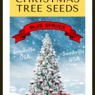 Grow Your Own Christmas Tree Colorado Blue Spruce Picea Pungens Gift Seed Packet Fresh Garden