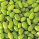 20 Edamame Green Envy Soybean Glycine Max Soy Bean Vegetable Seeds Fresh Garden