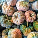 20 Black Futsu Squash Multicolored Heirloom Pumpkin Edible Cucurbita Seeds Fresh Garden
