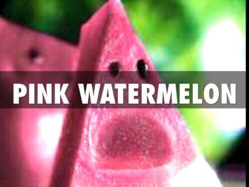 15 Seeds Juicy Pink Watermelon Large Summer Time Planting Fruit Fresh Garden