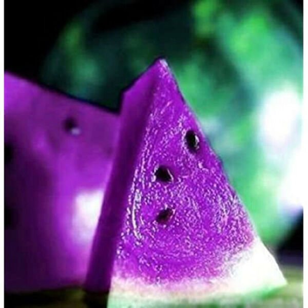 15 Seeds Purple Sweet Watermelon Fruit Healthy Planting Summer Fresh Garden