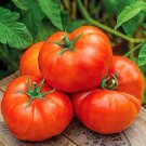 50 Seeds Red Rose Tomato Juicy Tomatoe Vegetable Fresh Garden