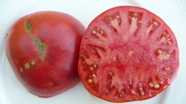 50 Seeds Big Ben Red Tomato Juicy Tomatoe Vegetable Fresh Garden