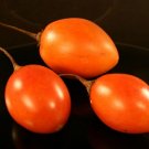 50 Seeds Red Tamarillo Tomato Juicy Tomatoe Vegetable Fresh Garden