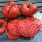 50 Seeds Heirloom Tomato Red Juicy Tomatoe Vegetable Fresh Garden