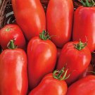 50 Seeds Roma Tomato Red Juicy Tomatoe Vegetable Fresh Garden