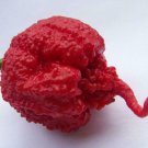 25 Seeds Carolina Reaper Peppers Vegetables Healthy Planting Fresh Garden