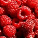 100 Seeds Ruby Red Raspberry Berries Raspberries Fruit Healthy Fresh Garden