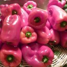25 Seeds Pink Bell Pepper Sweet Healthy Planting Fresh Garden