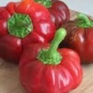 25 Seeds Sweet Red Pimento Peppers Healthy Planting Fresh Garden