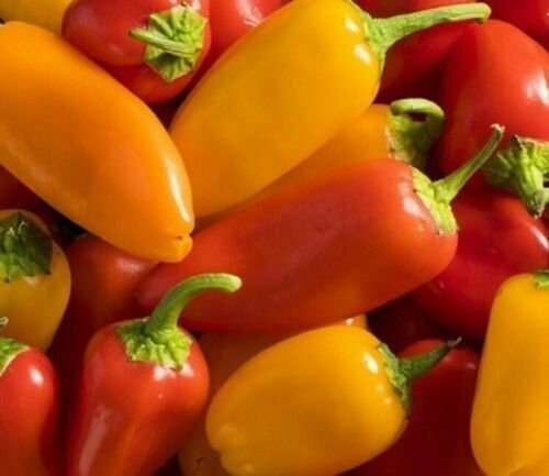 25 Seeds Lunchbox Sweet Peppers Vegetables Healthy Planting Fresh Garden