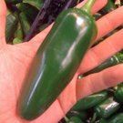 25 Seeds Green Giant Jalapeno Pepper Vegetables Healthy Planting Fresh Garden
