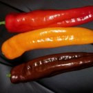 25 Seeds Sweet Jumbo Twister Peppers Vegetables Healthy Planting Fresh Garden
