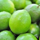 Citr Key Lime 5 Seeds Fresh Garden