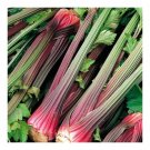 Giant Red Celery 50 Seeds Celery Fresh Garden