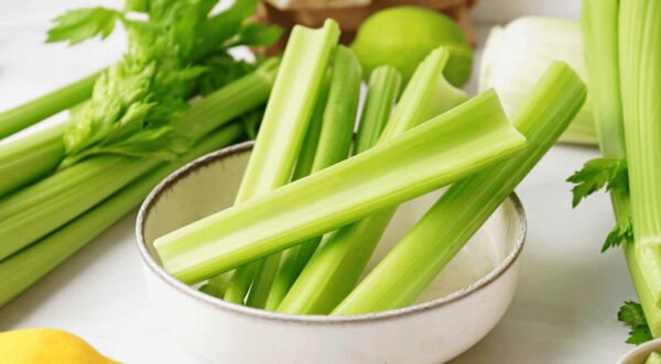 Conquistador Celery 200 Seeds Fresh Garden