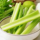 Conquistador Celery 200 Seeds Fresh Garden