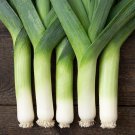 Lancelot Leek 100 Seeds Fresh Garden