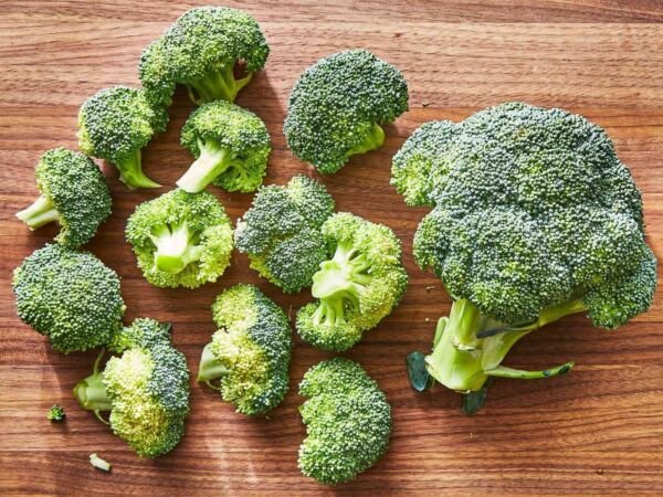 Godzilla Broccoli 100 Seeds Fresh Garden