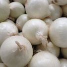 White Sweet Spanish Onion 100 Seeds Fresh Garden
