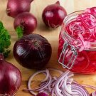Ruby Red Onion 100 Seeds Fresh Garden