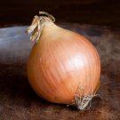 Avalon Yellow Onion 100 Seeds Fresh Garden