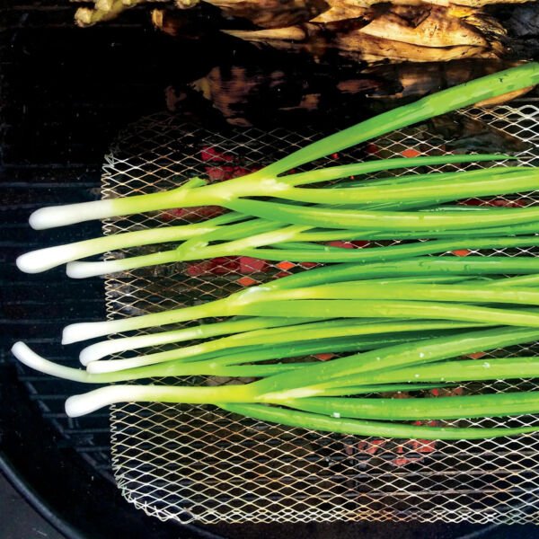 Parade Green Onion 100 Seeds Fresh Garden
