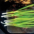Parade Green Onion 100 Seeds Fresh Garden