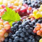 Grape Mix 20 Seeds Fresh Garden