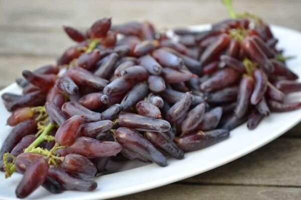 Witch Finger Grape 20 Seeds Fresh Garden
