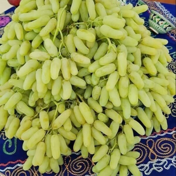 Lady Finger Grape 20 Seeds Fresh Garden