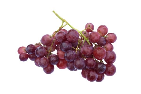 Champagne Grape 20 Seeds Fresh Garden