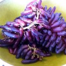 Moon Drops Grape 20 Seeds Fresh Garden