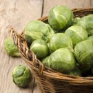 Long Island Brussels Sprouts 100 Seeds Fresh Garden
