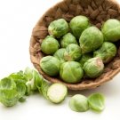 Catskill Brussels Sprouts 100 Seeds Fresh Garden