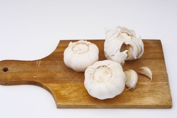 California Early Garlic 2 Bulbs Fresh Garden