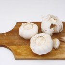 California Early Garlic 2 Bulbs Fresh Garden