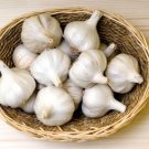 Creme De La Rasa Garlic 2 Bulbs Fresh Garden