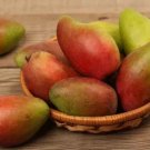 Sindhura Mango 1 Seed Fresh Garden